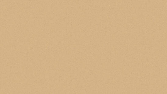 Eclipse SAND 0455 Eclipse Premium Homogeneous Vinyl